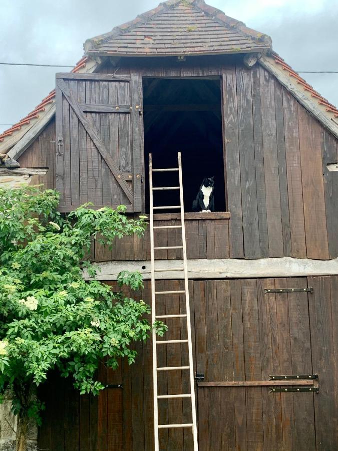 Chambres D'Hotes Pech Blanc Calvignac Esterno foto