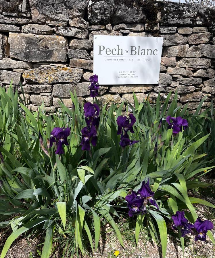 Chambres D'Hotes Pech Blanc Calvignac Esterno foto