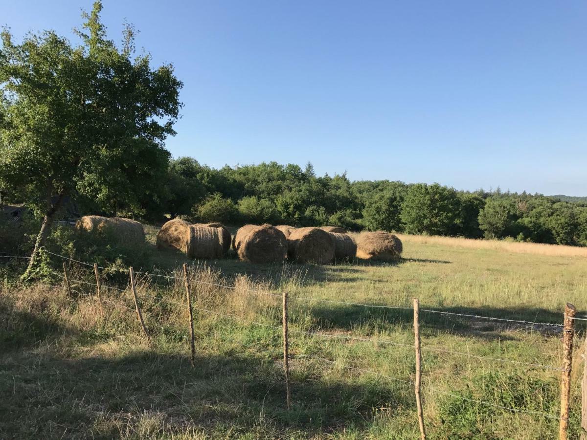 Chambres D'Hotes Pech Blanc Calvignac Esterno foto