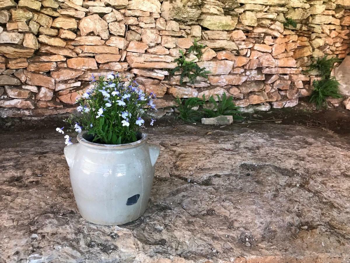 Chambres D'Hotes Pech Blanc Calvignac Esterno foto